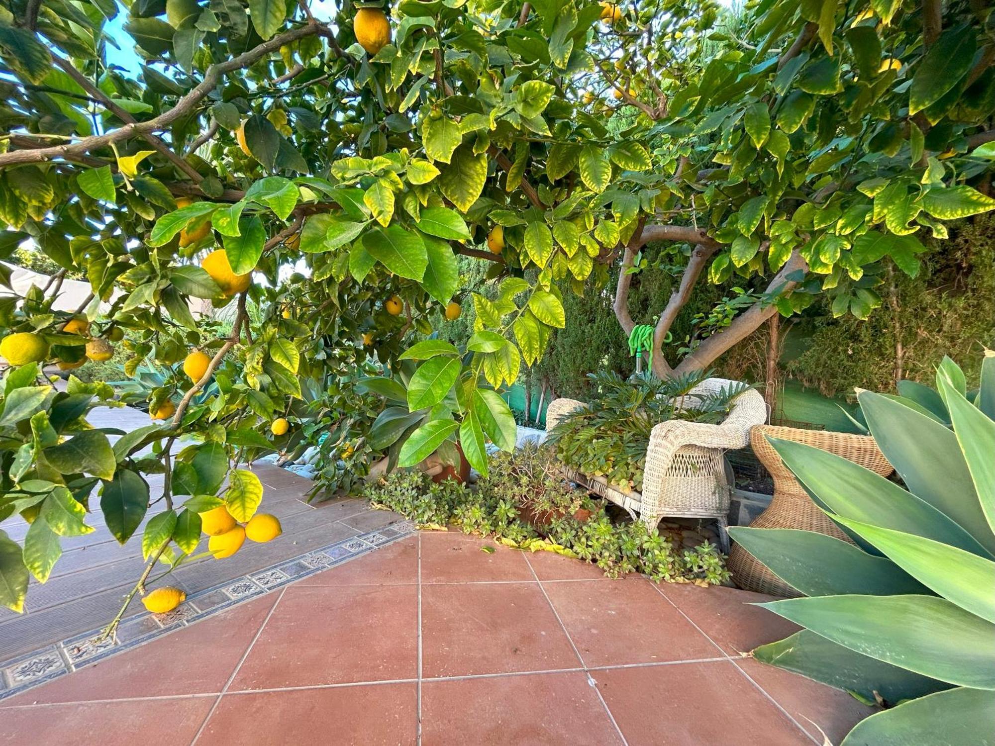 Casa Luna Llena كاليبي المظهر الخارجي الصورة